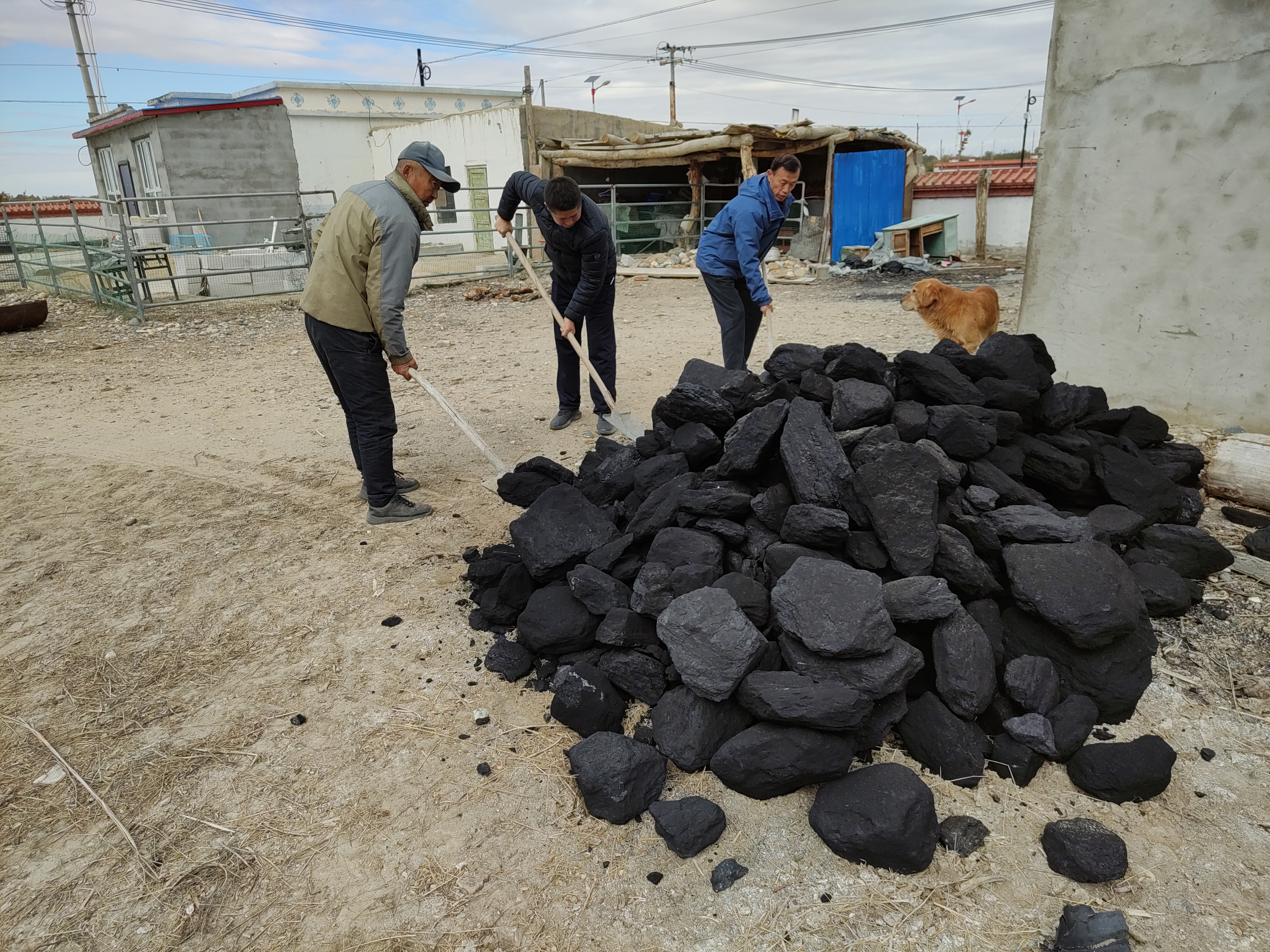 送暖心煤9.jpg 送暖心煤9.jpg