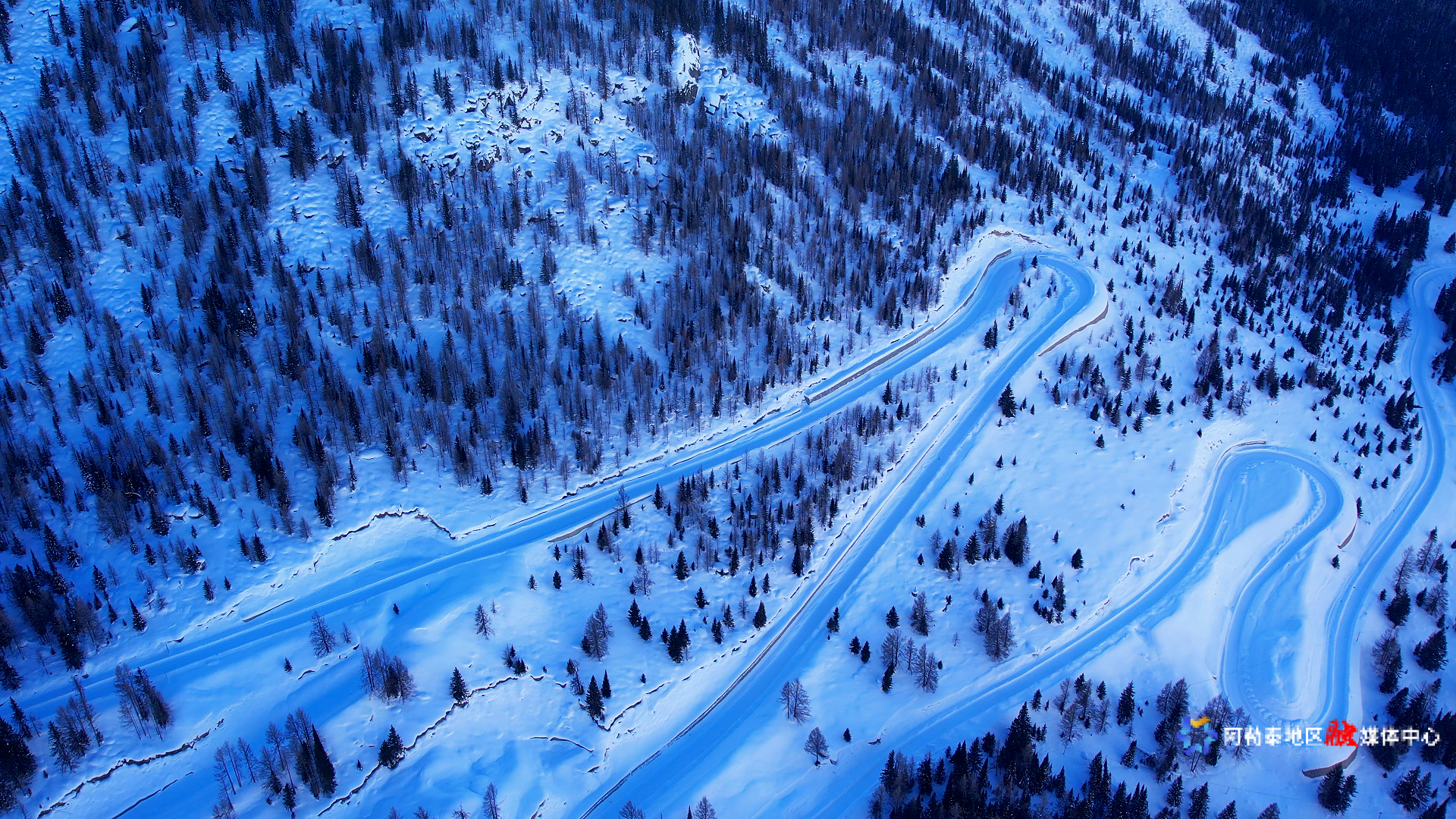 mmexport1737951786406