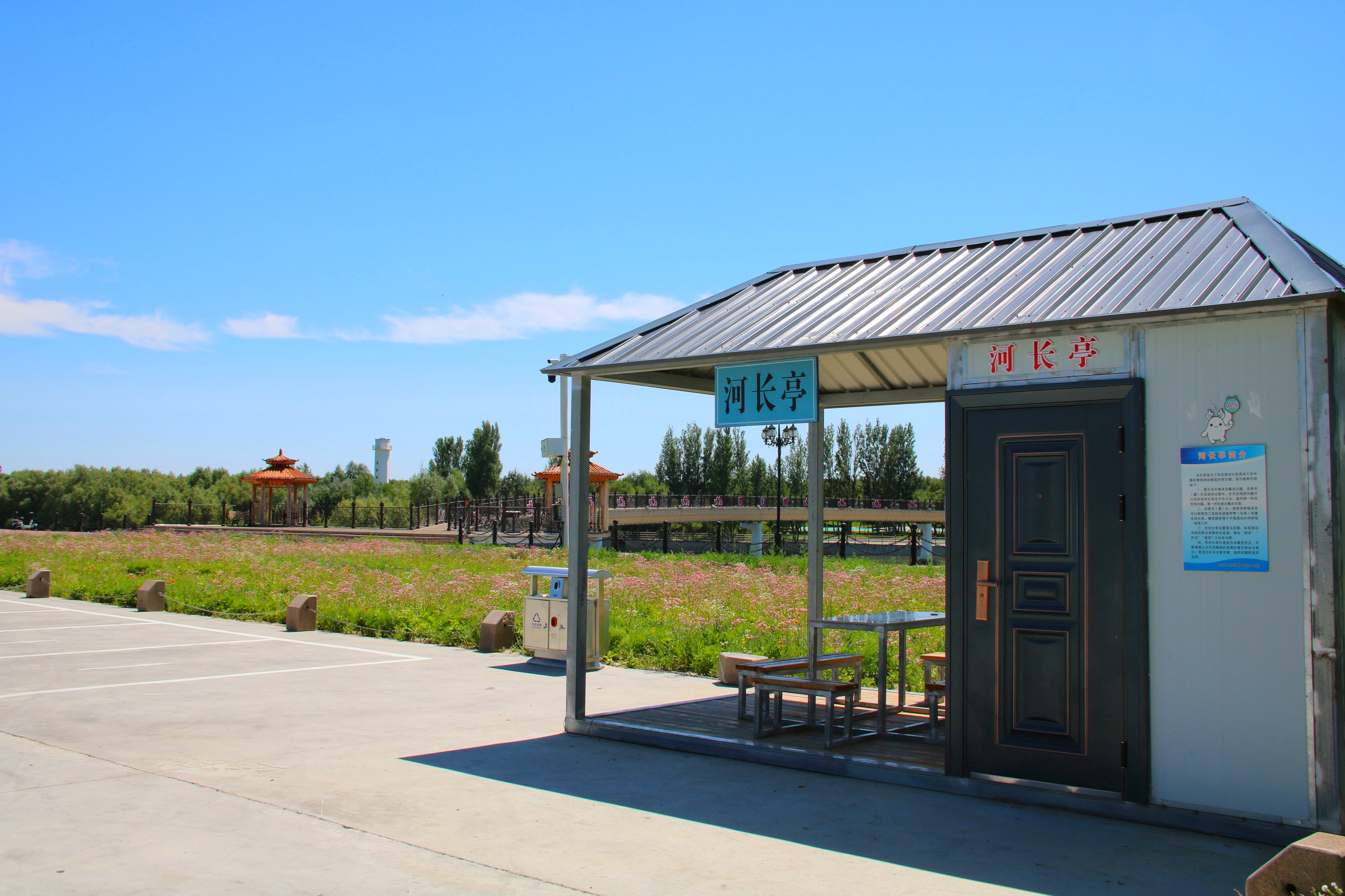 mmexport1741749856762