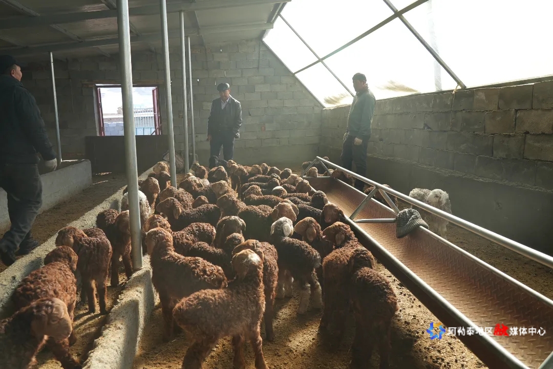 mmexport1743483095085