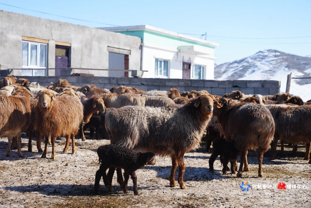 mmexport1743483100997