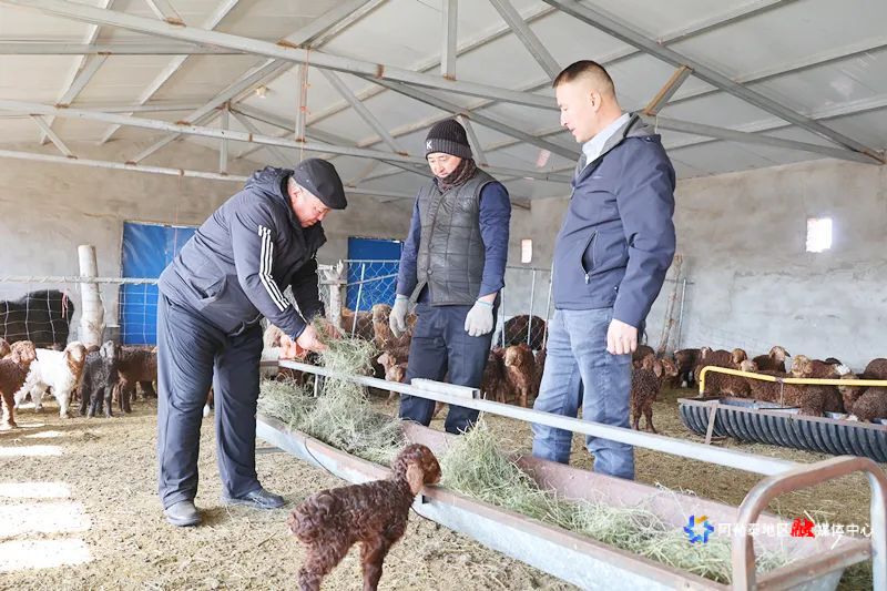 mmexport1743483127690