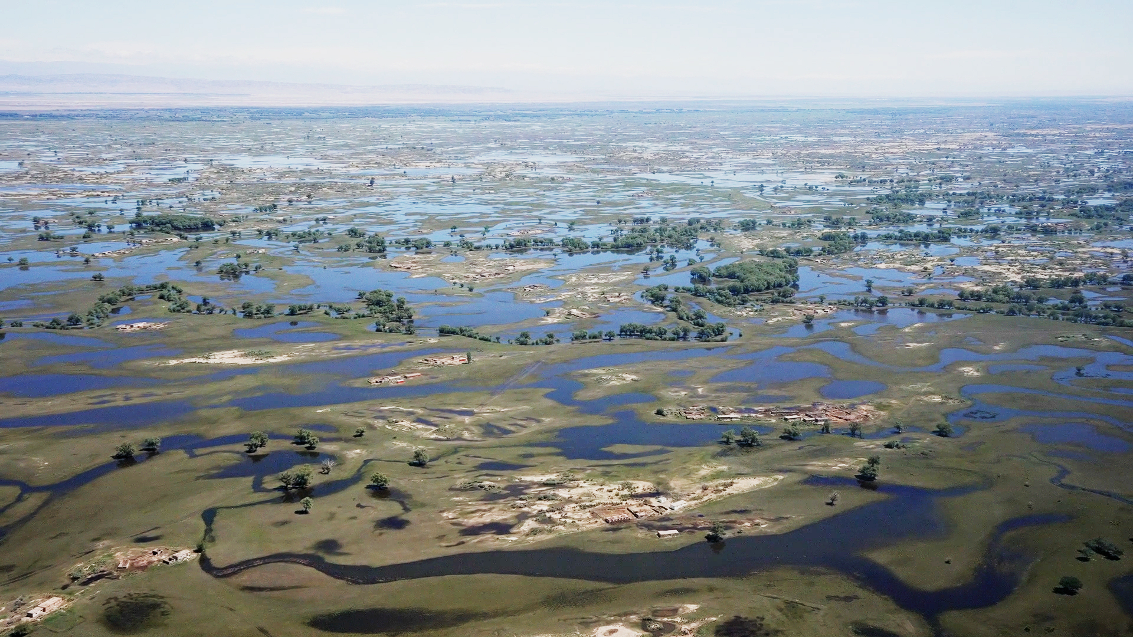 mmexport1749651887439