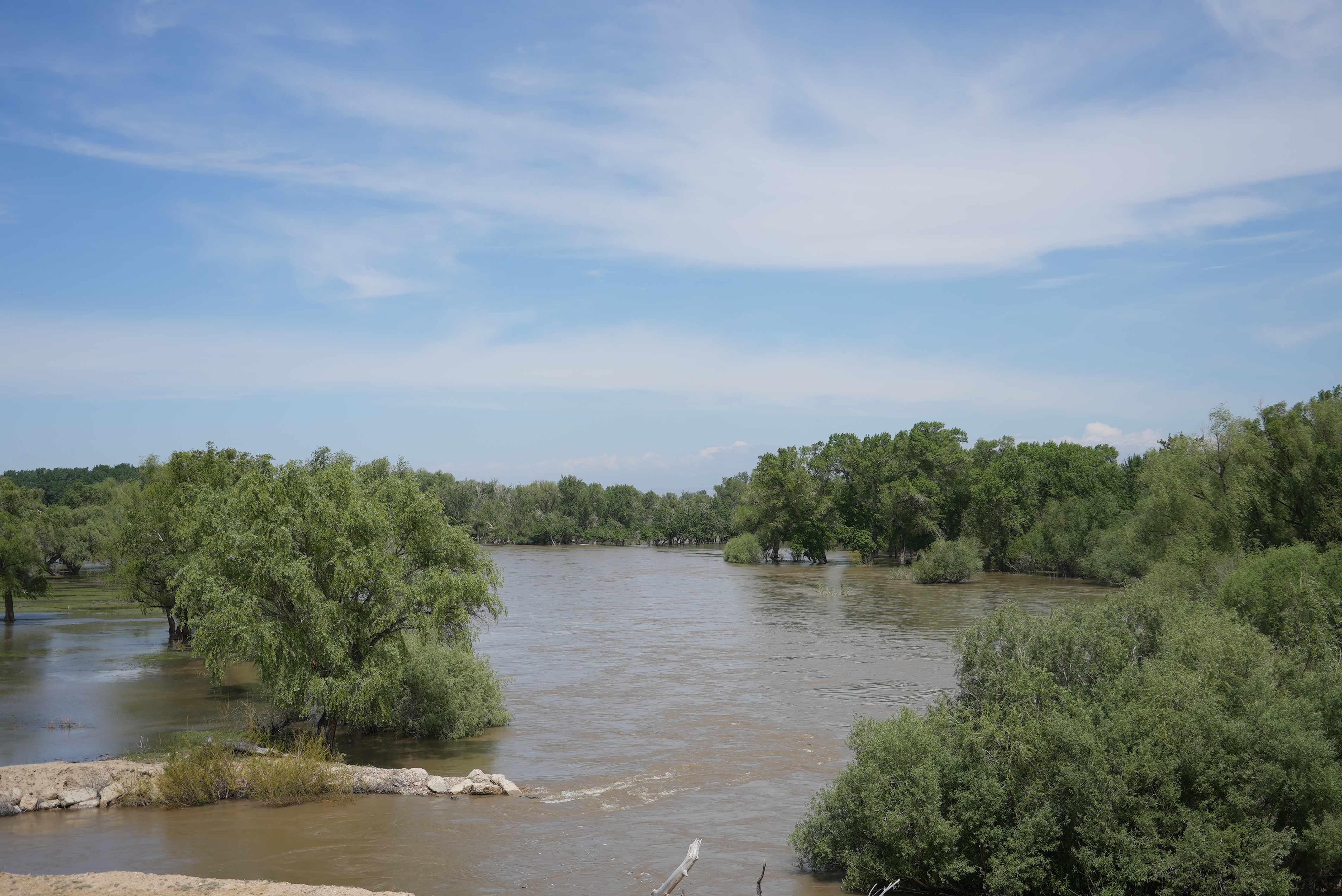 mmexport1749651894537