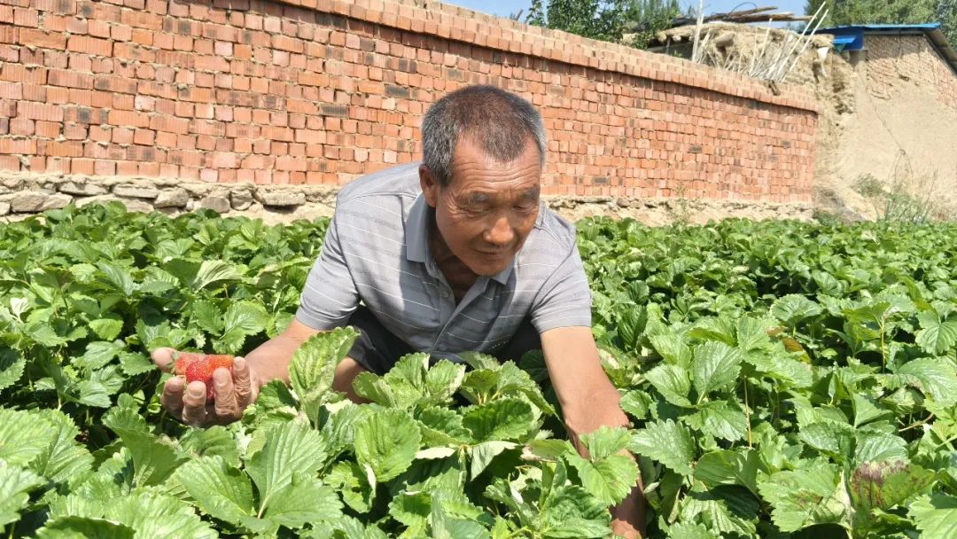 微信图片_2025-06-11_171128_030.png 微信图片_2025-06-11_171128_030.png