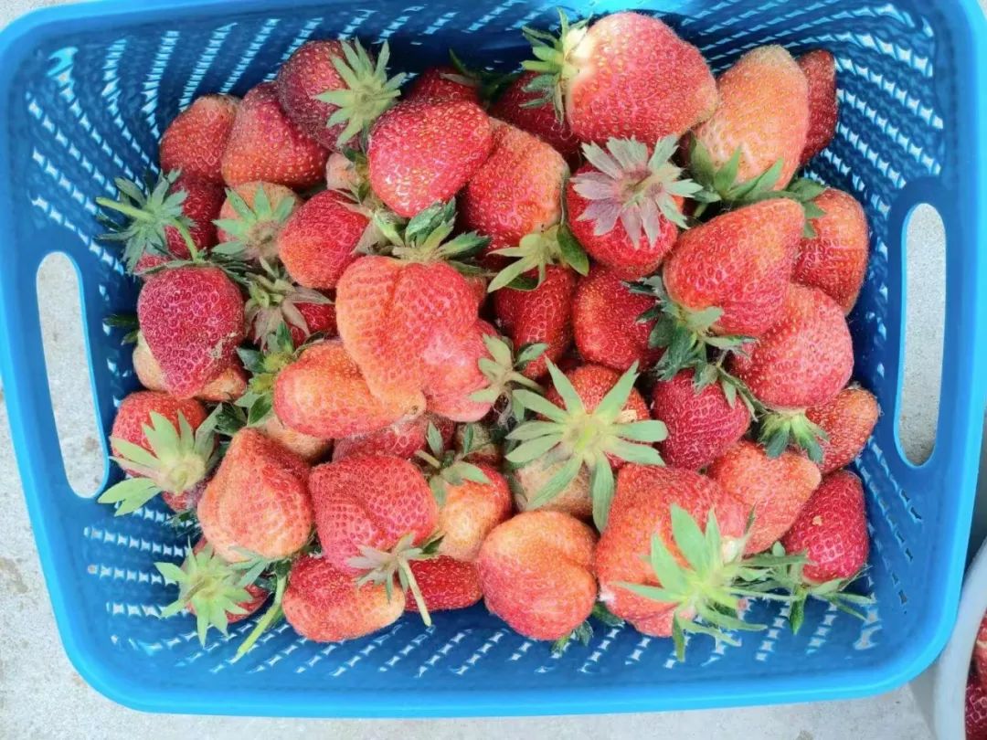 微信图片_2025-06-11_171208_435.png 微信图片_2025-06-11_171208_435.png