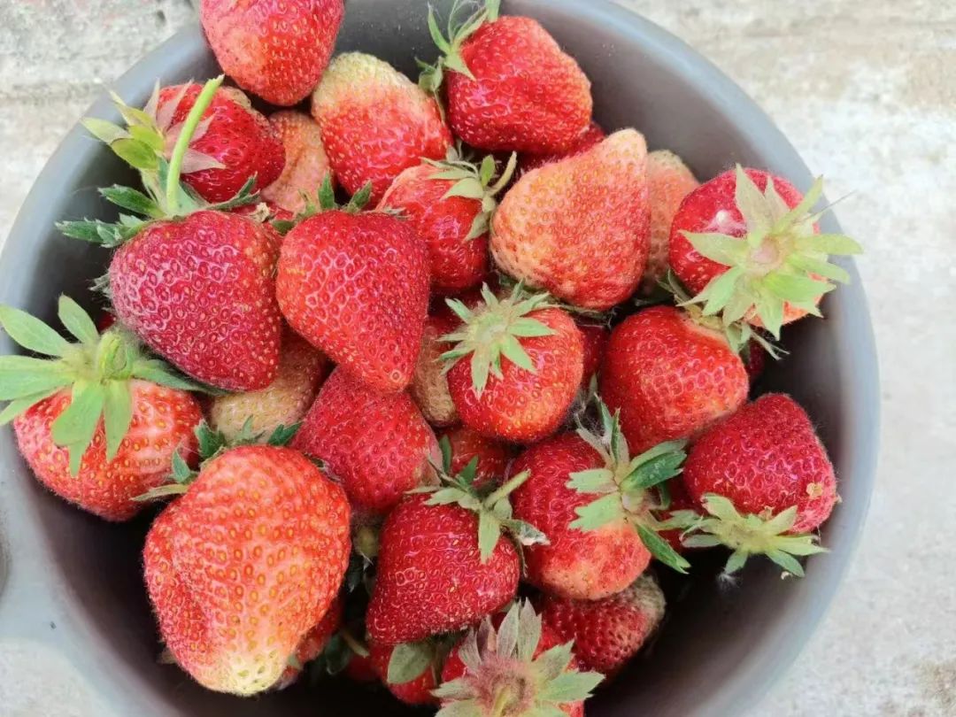 微信图片_2025-06-11_171220_938.png 微信图片_2025-06-11_171220_938.png