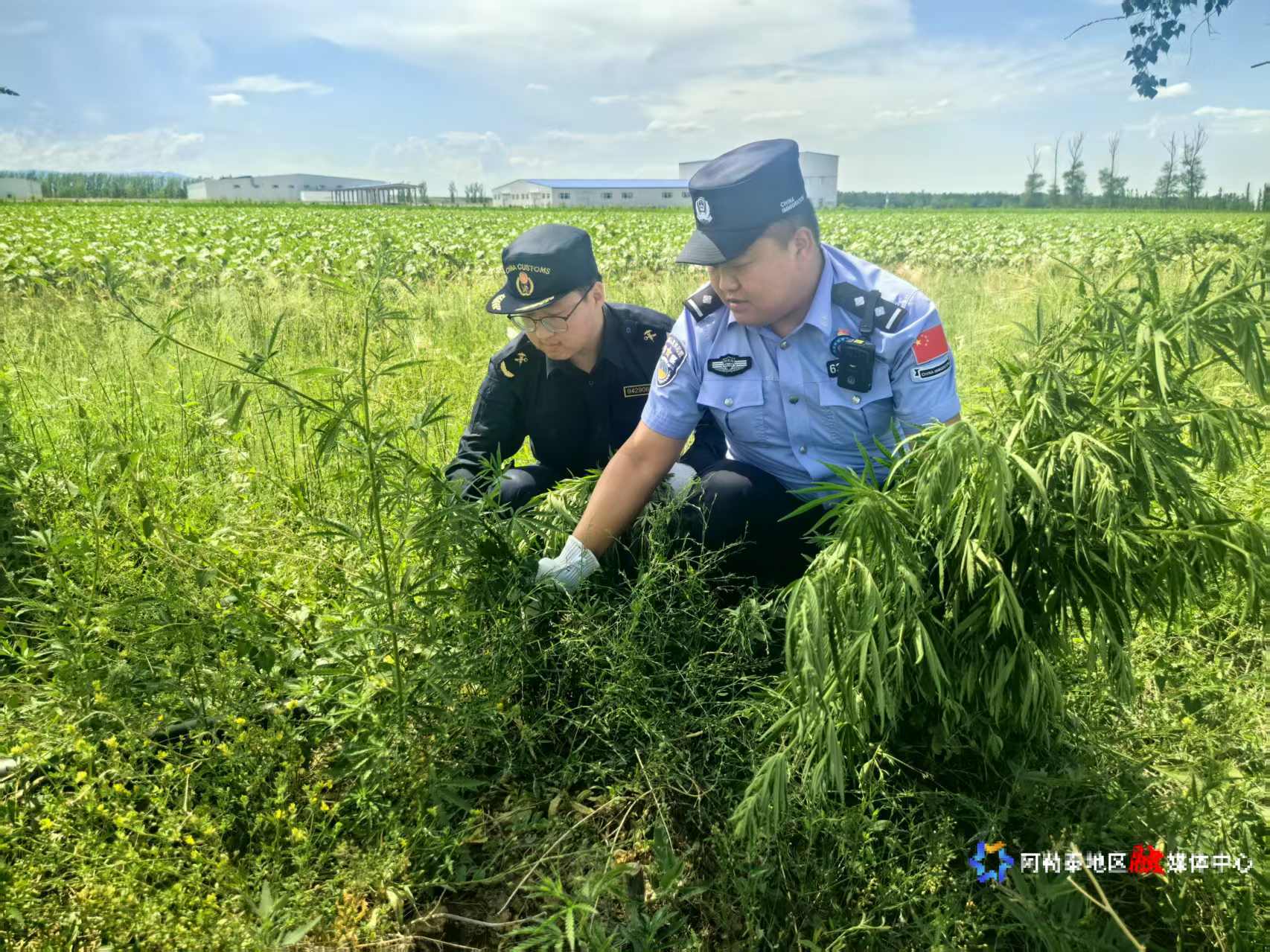 mmexport1750238538084