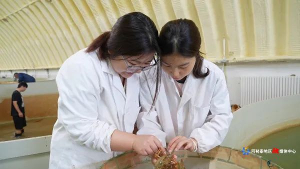 mmexport1750776362484