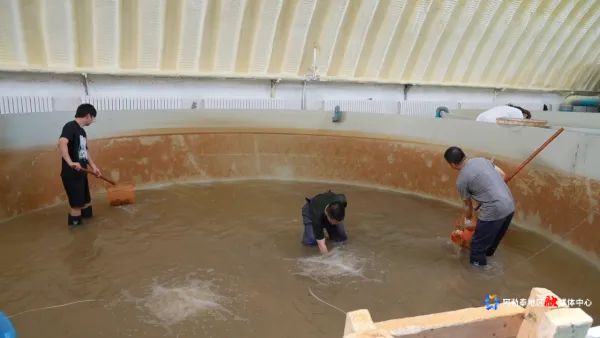 mmexport1750776370585