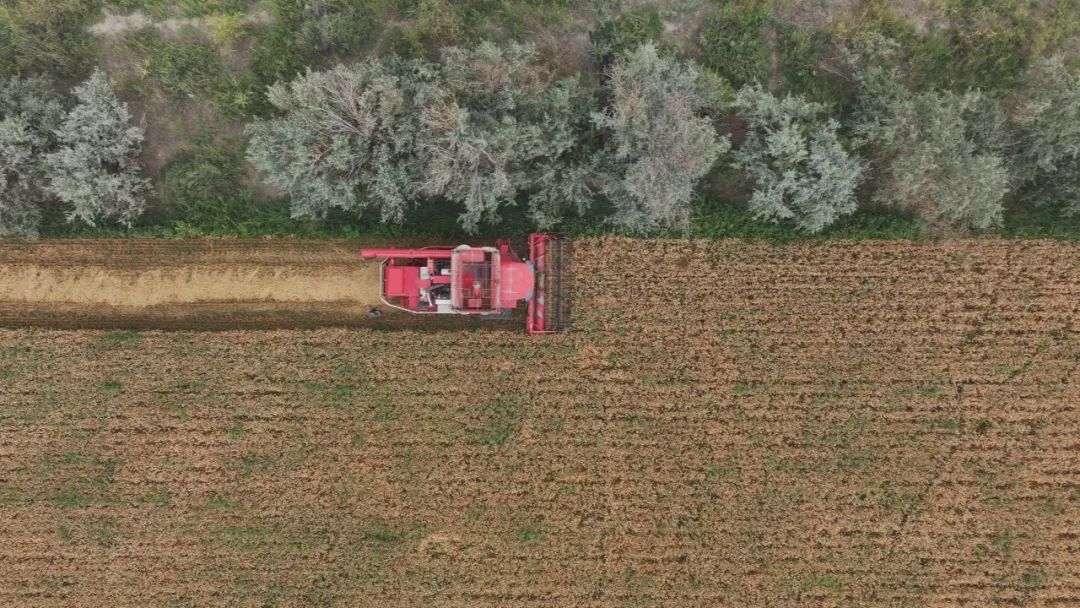 mmexport1752721684720