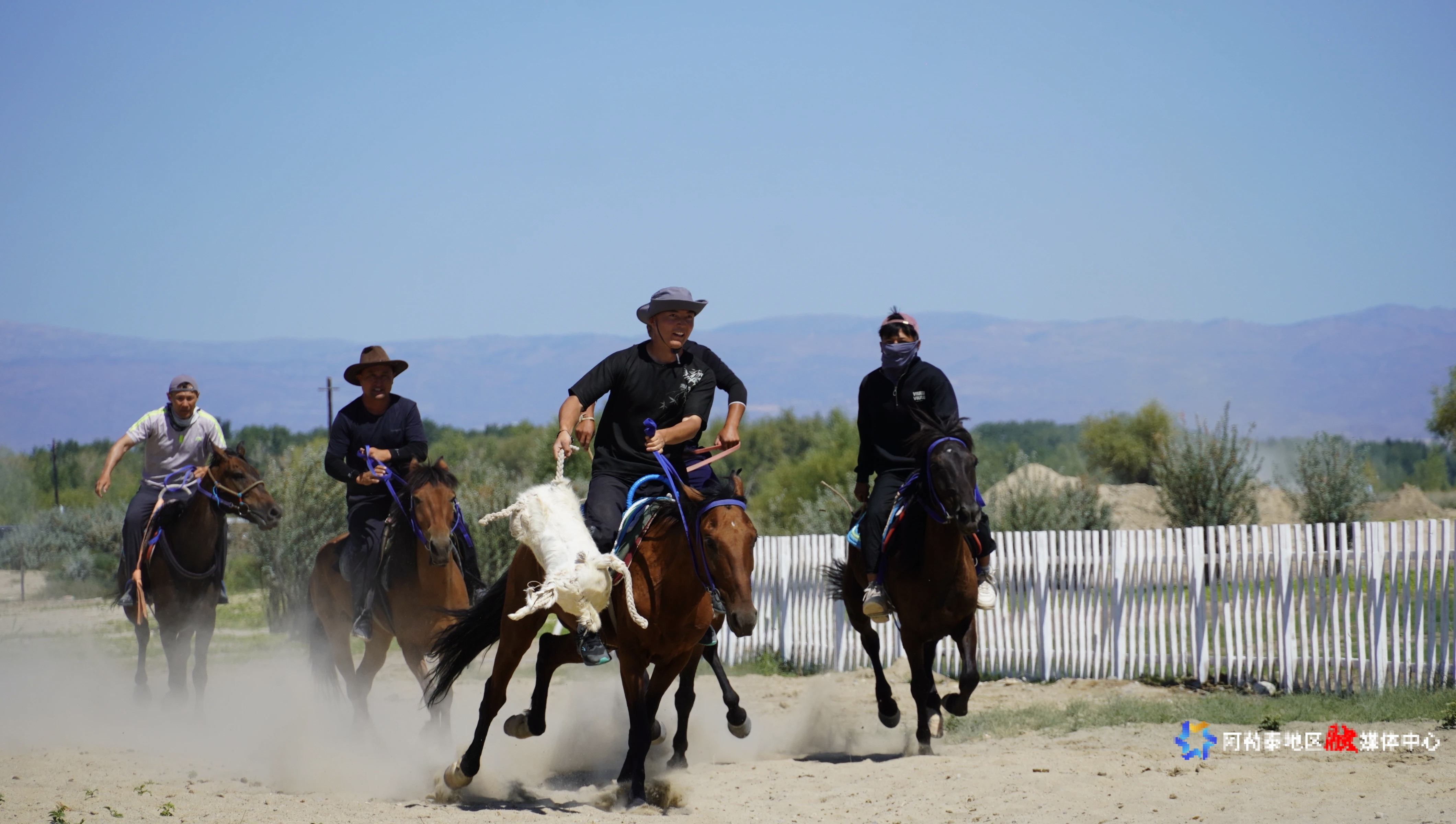 mmexport1755144160196