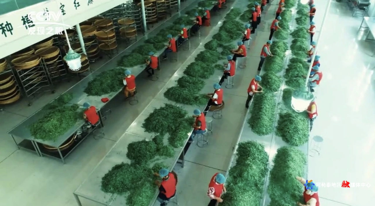 mmexport1755053254196