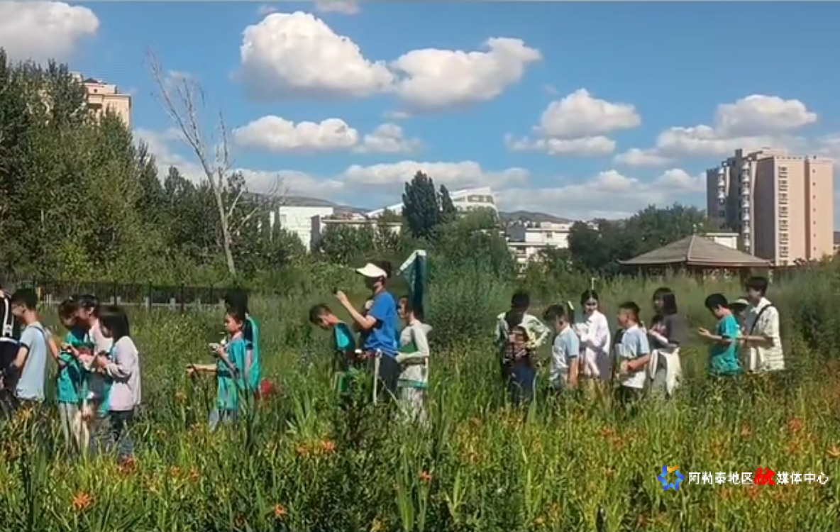 mmexport1755310627405