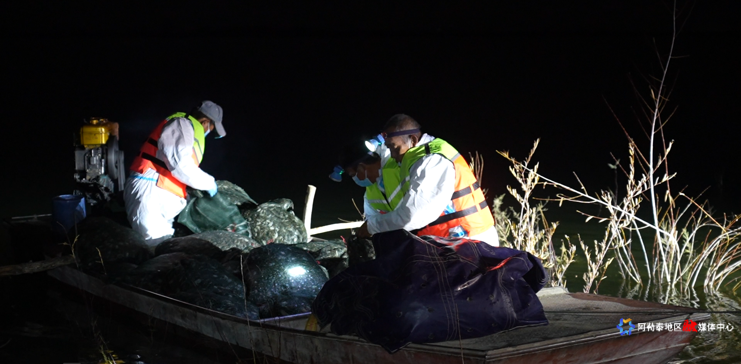 mmexport1762416999124