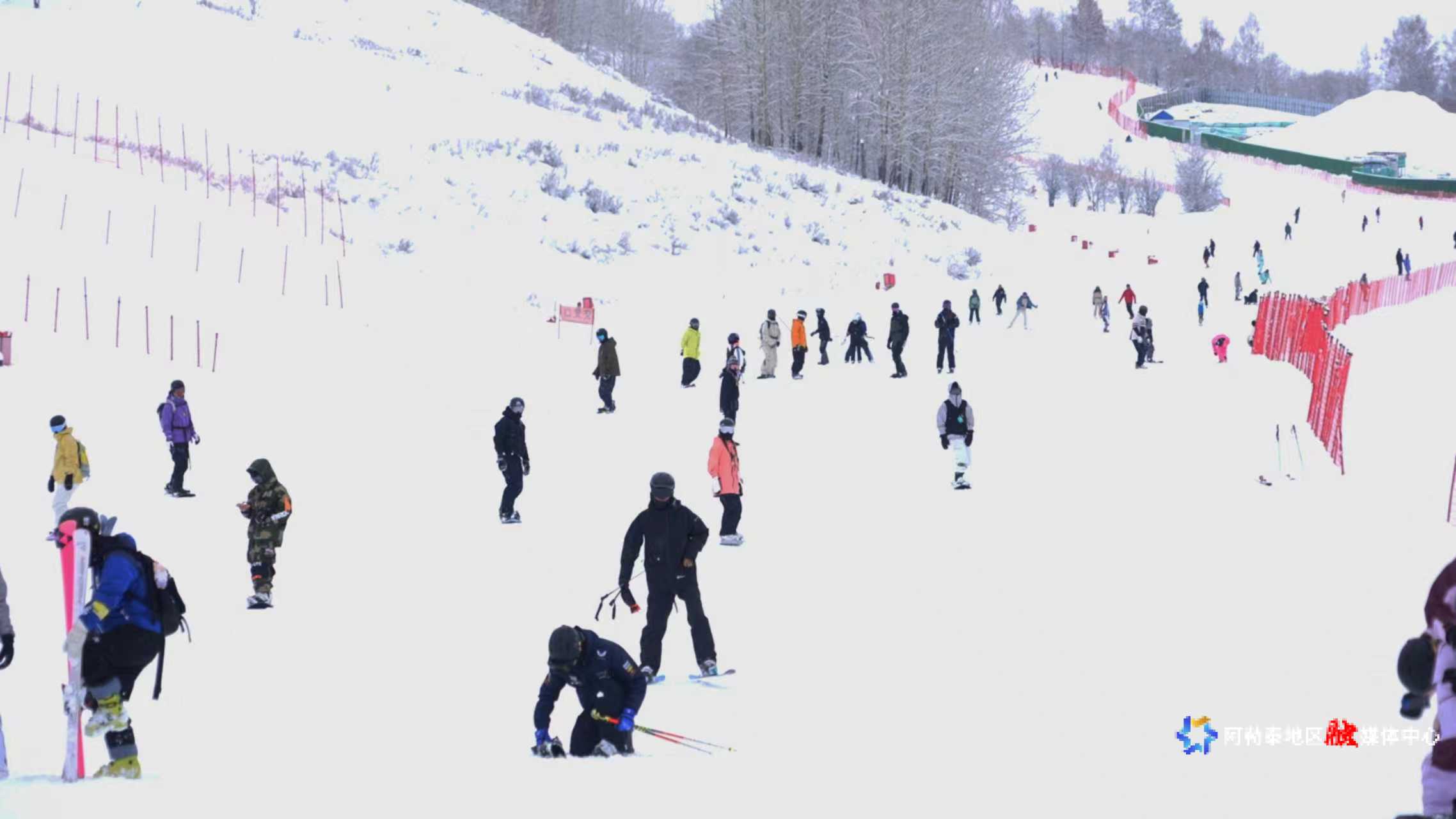 mmexport1765943556760