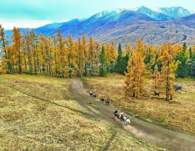 天山南北处处呈现繁荣景象 天山南北处处呈现繁荣景象
