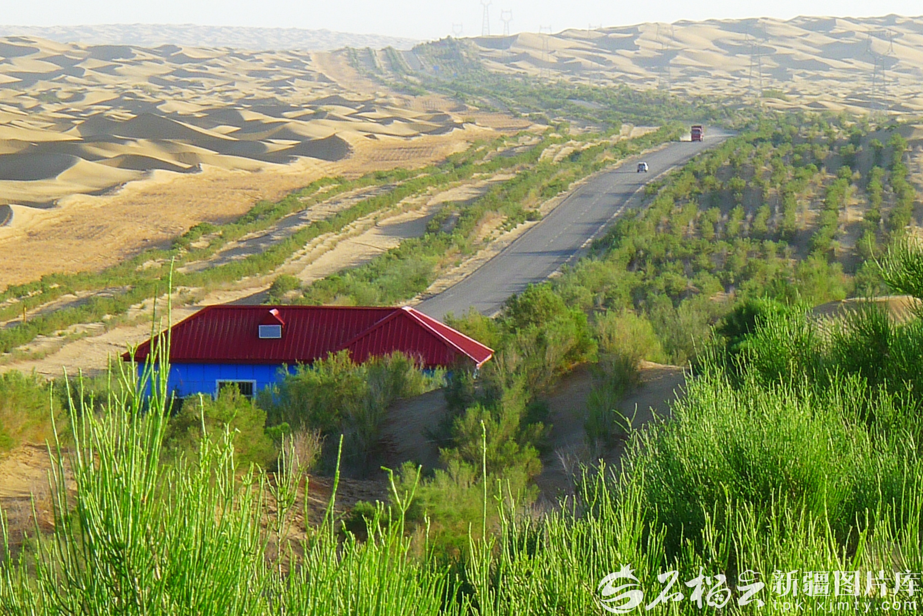 mmexport1761052111051