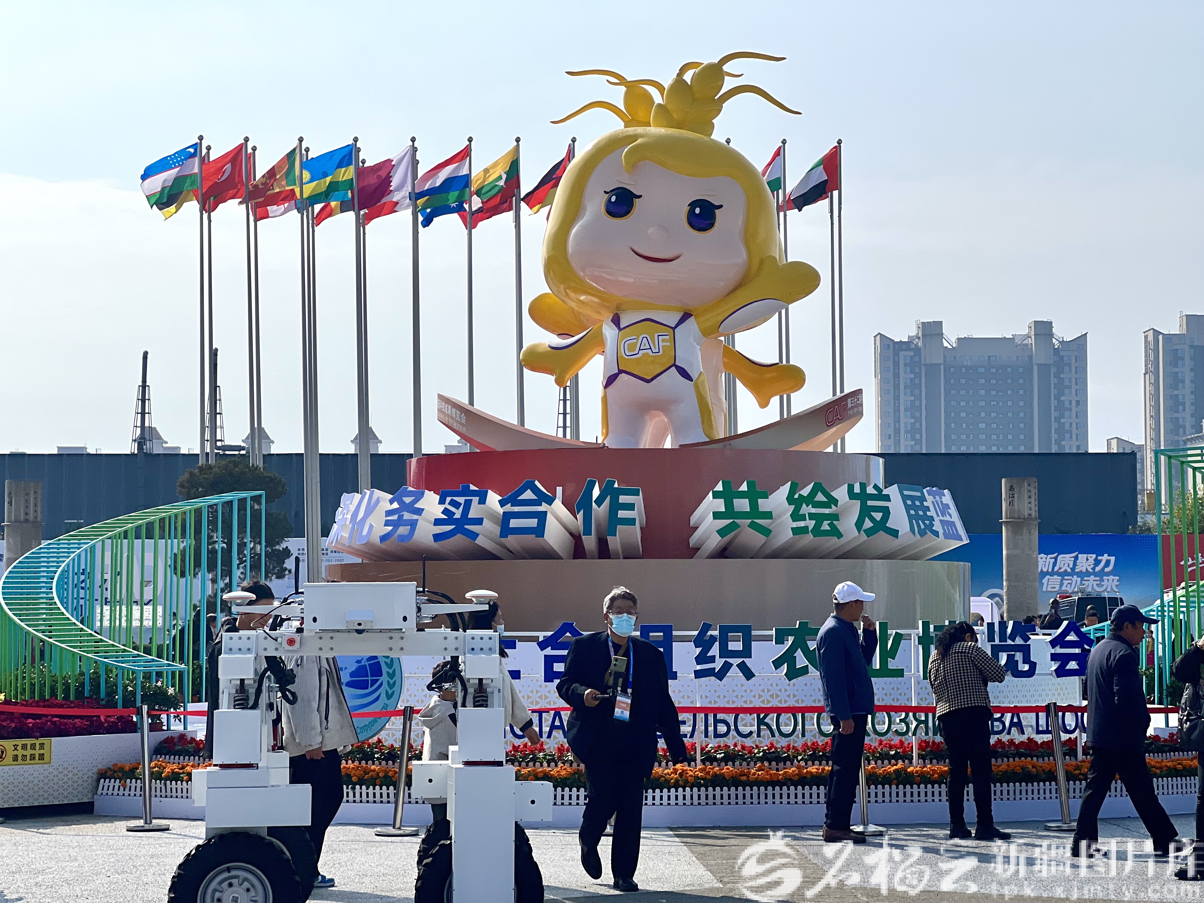 mmexport1761708213601